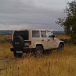 Profile picture of José Pereira